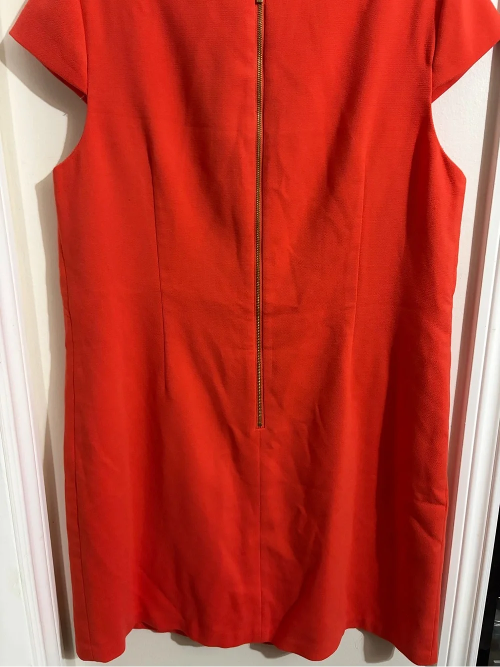 Eliza J Red Cap-Sleeve Shift Dress - Picture 11 of 11